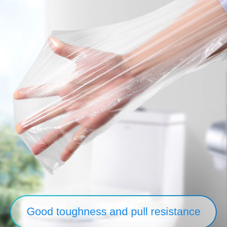 10/50PCS Biodegradable Disposa - Biodegradable Eco Case ulasan dan harga